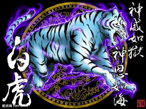 五行神獸|五聖獸:青龍,白虎,朱雀,玄武,黃龍,